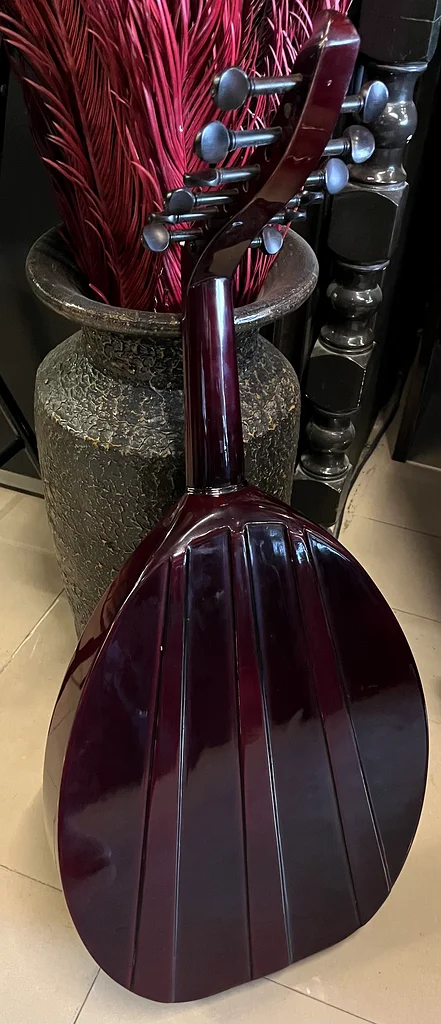 عود كهربائي63205882730753111