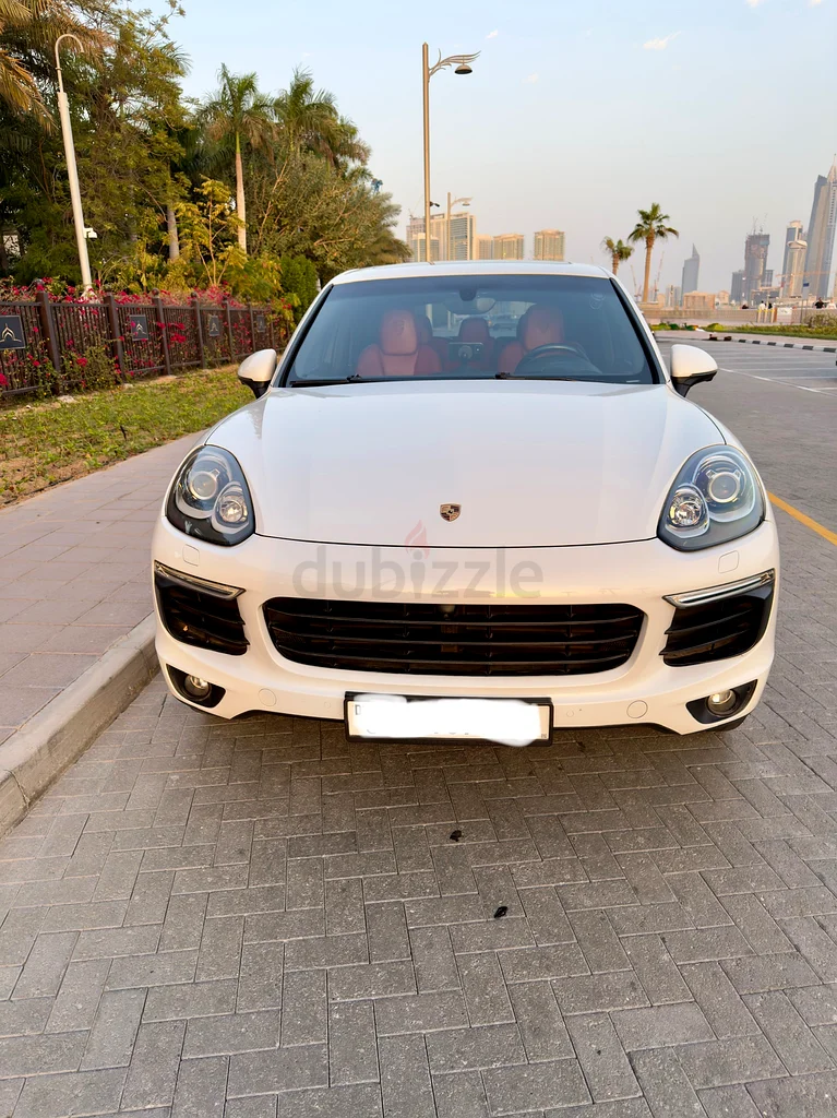 Amazing Porsche Cayenne , Platinum Edition , FSH63150479502339112