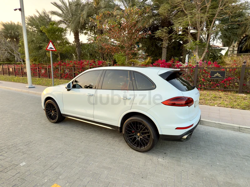 Amazing Porsche Cayenne , Platinum Edition , FSH63150479502339114