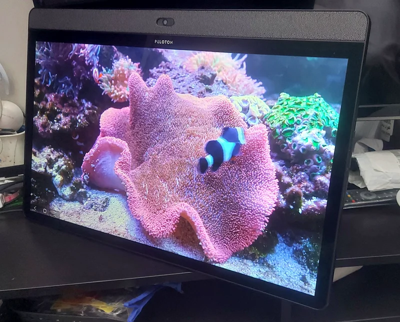 شاشة لمس 24 بوصة بنظام أندرويد. بيلوتون TTRB0163221851662721114