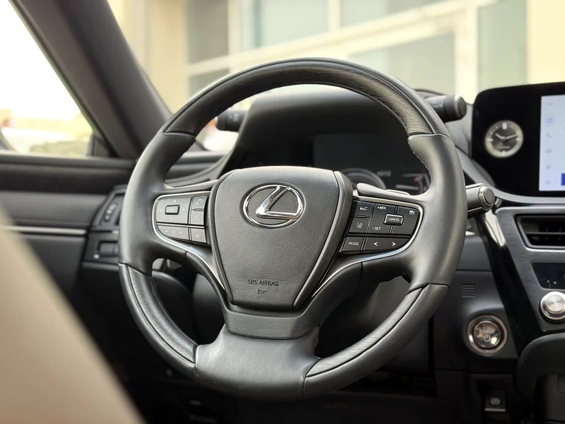 2025 Lexus ES300H63168495859203114