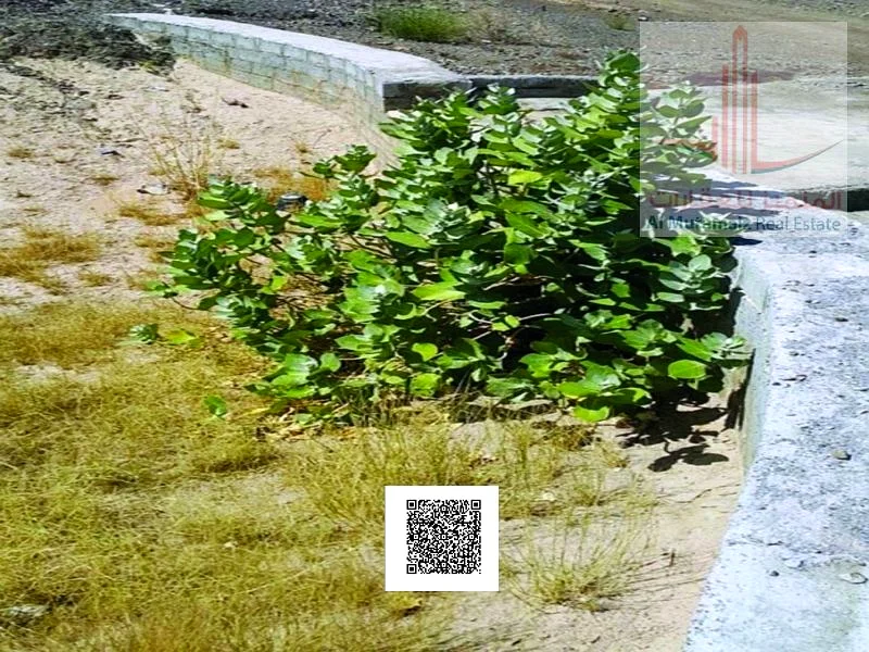 أرض زراعية للبيع في مسافوت، عجمان - أفضل سعر - أفضل المواصفات63184697851010114