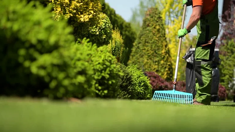 Landscapeing services63214432380545114