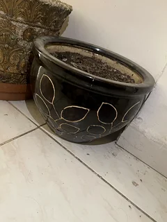 Elegant Decorative Flower Pot with - 1e7a277d5f0e4a36bc22d088f0582382