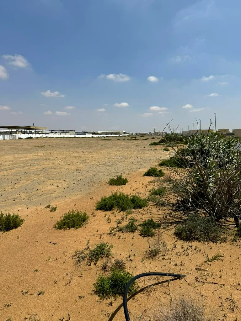 Lands for sale in Al Saja’a,63198610772993111
