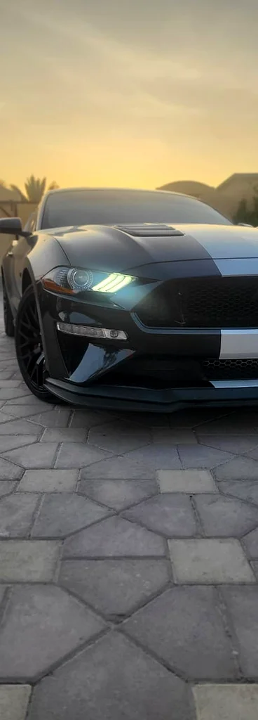 Mustang premium Gt 202263138720361730113
