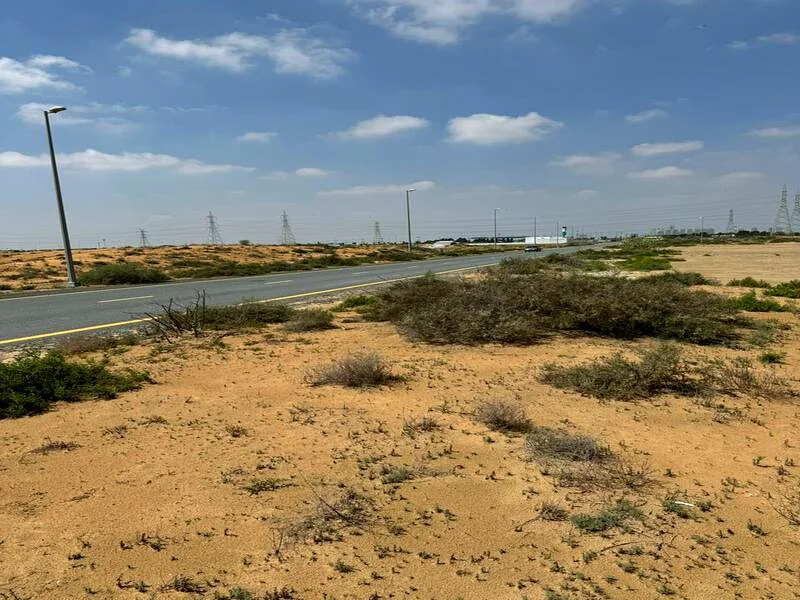 Land for sale in Al Sajaa63196118491139112