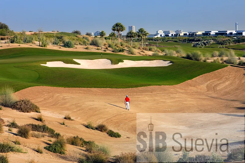 Plot | Single Row | Construction Approval Ready63197119459970111