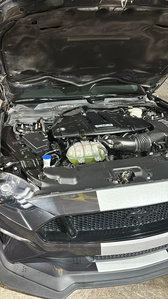 Mustang premium Gt 202263138720361730111