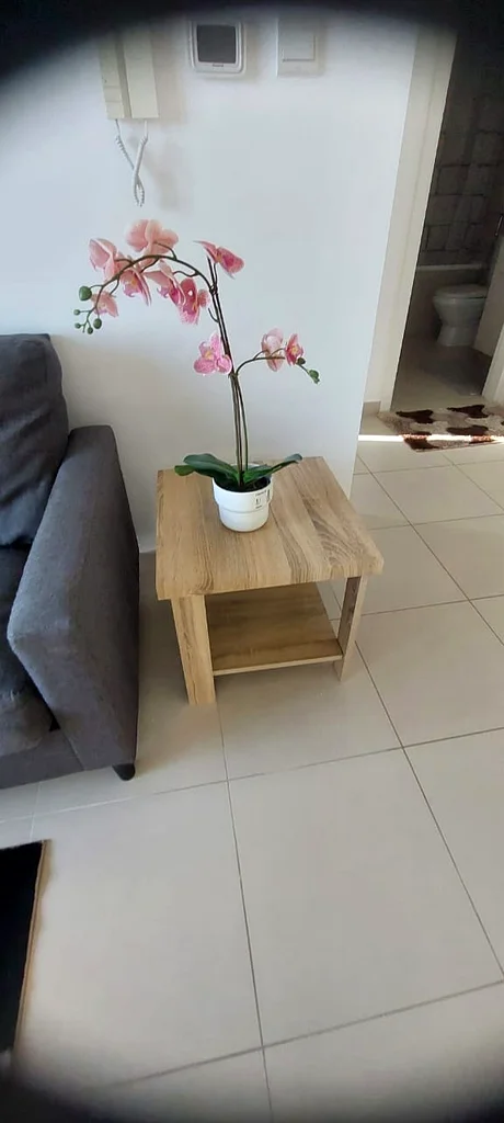 fully furnished | mulitple cheques | ready to move63736994694529111