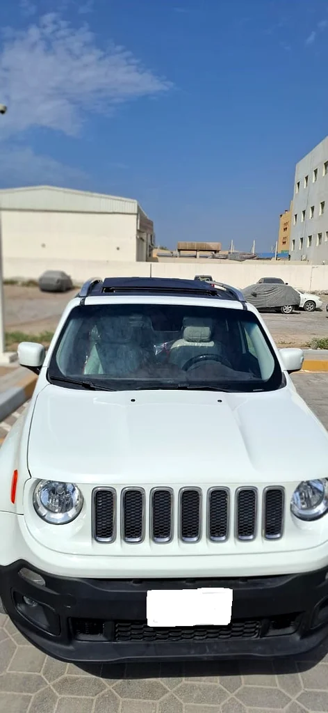 جيب رينيجيد 201663173490506114113
