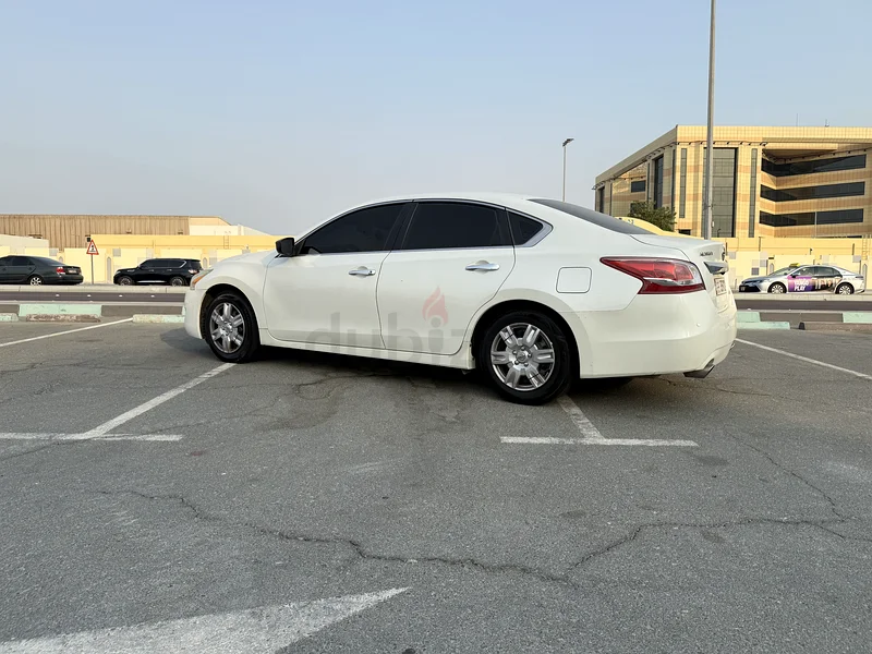 شامخه63147685050881112