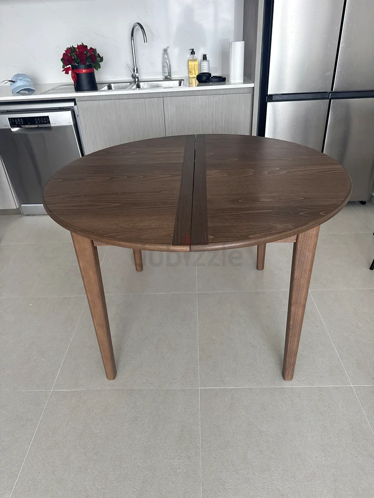 IKEA SKANSNAS extendable table63186762385921113