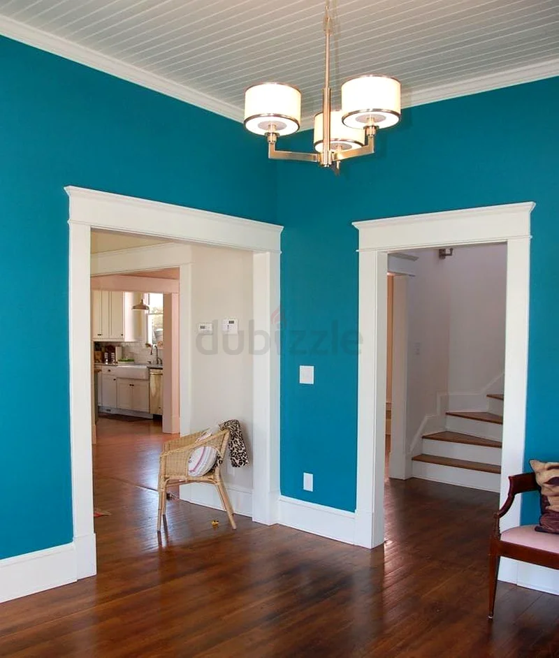 AFFORDABLE  PROFESSIONAL PAINTING SERVICES 24/7 AVAILABLE CALL NOW.....63216362679811111