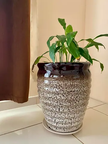 Brown and white plant vase
