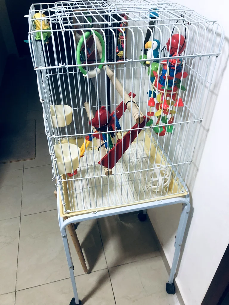 قفص طيور واسع وممتع مع إكسسوارات!63234135233794113