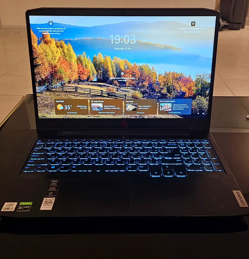 Lenovo Ideapad Gaming 3 (i7-10750H and GTX 1650 Ti)