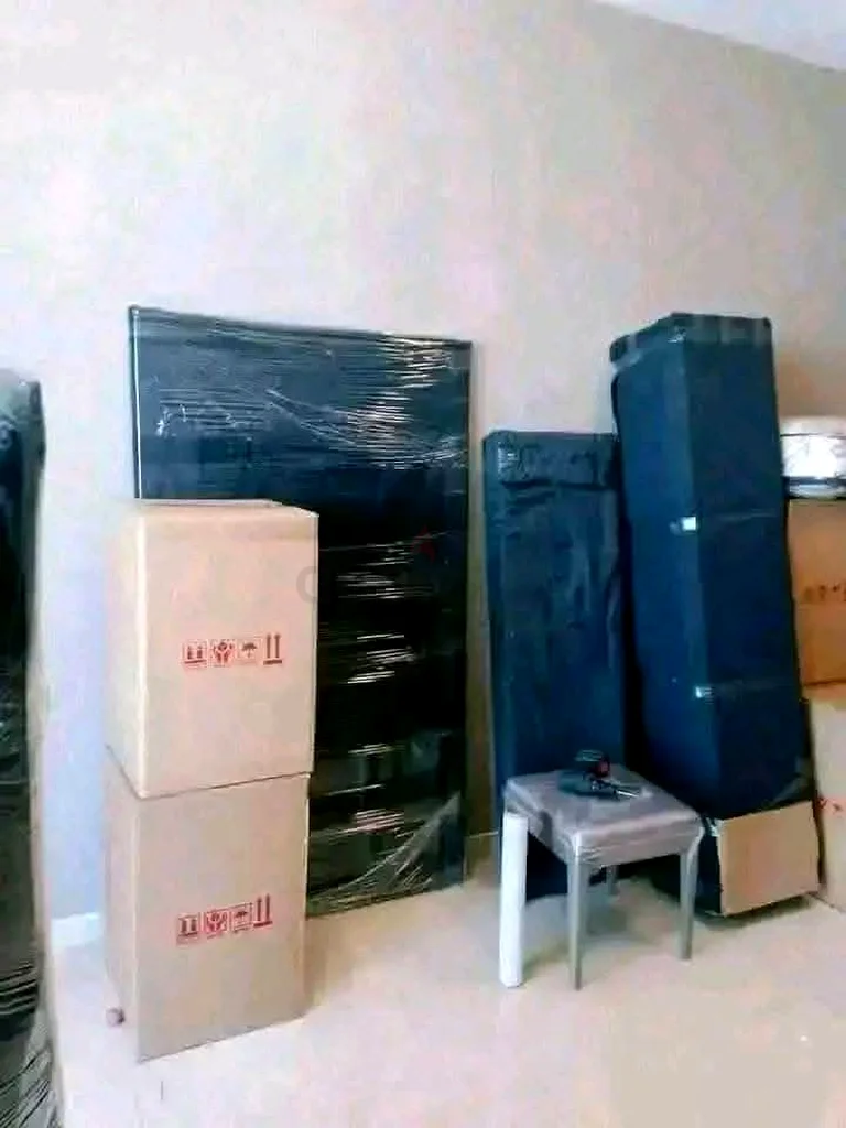 خدمة محترفة للنقل والتغليف631842363893791110