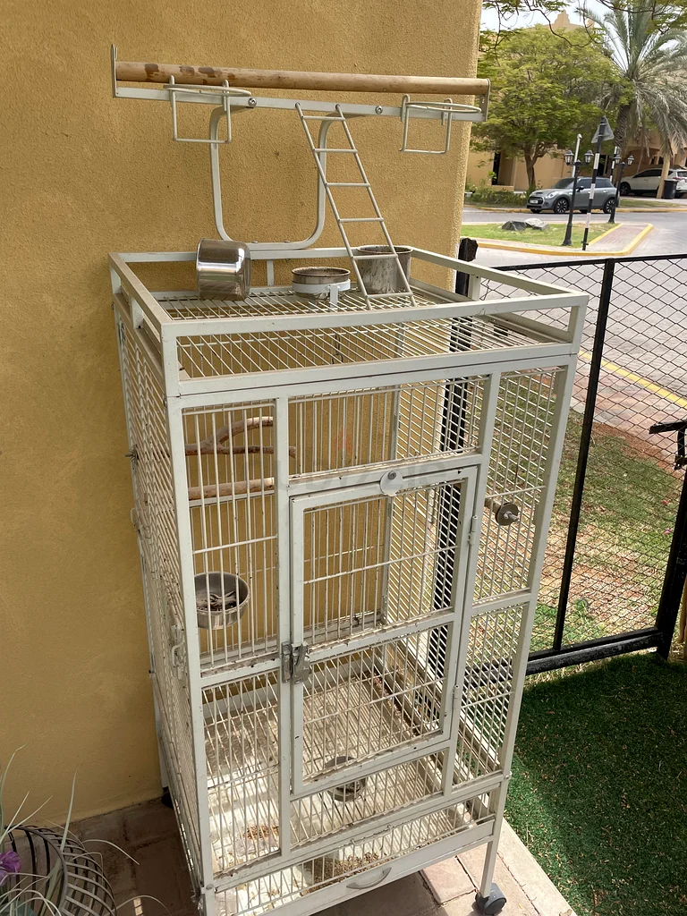 Large Bird Cage for Sale - Perfect for Your Feathered Friends!632331320380191118