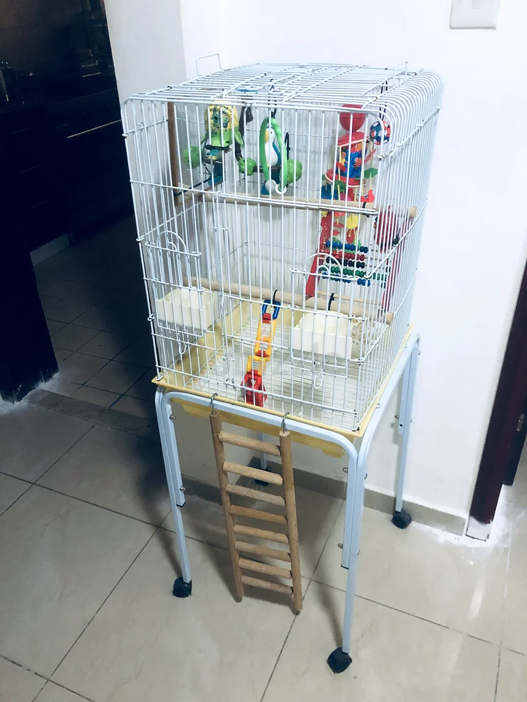 قفص طيور واسع وممتع مع إكسسوارات!63234135233794112