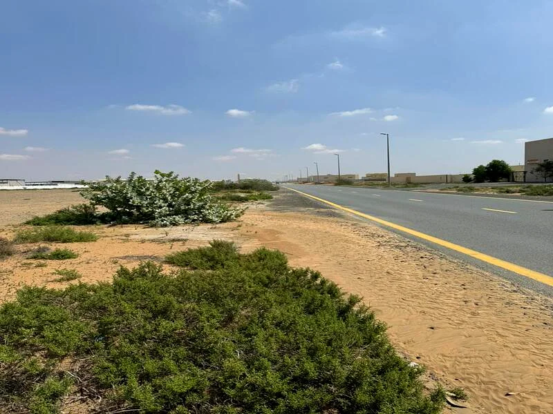 Land for sale in Al Hanou63198610826241111
