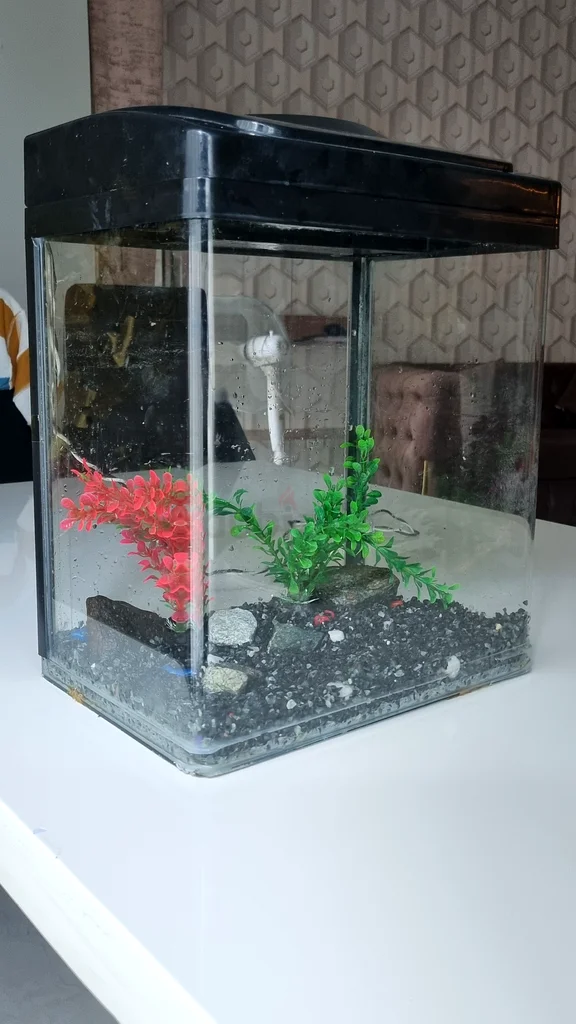 Stylish Aquarium with Accessories for Aquatic Life!632326497680651110