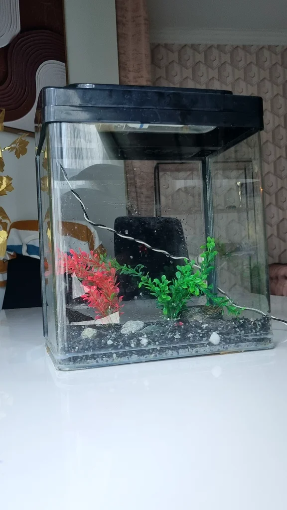 Stylish Aquarium with Accessories for Aquatic Life!63232649768065111