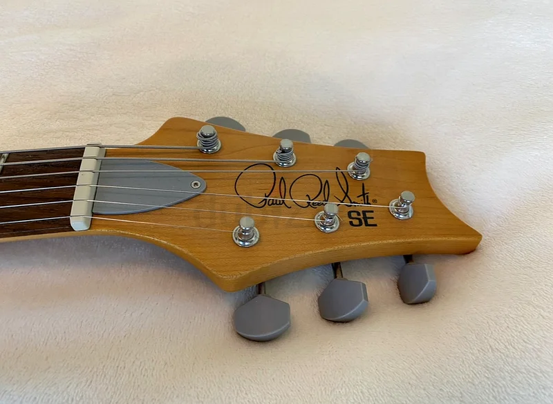 PRS - Silver Sky SE63205880418689113
