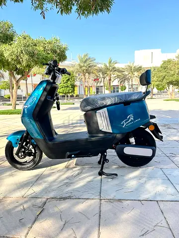 Electric scooter for sale