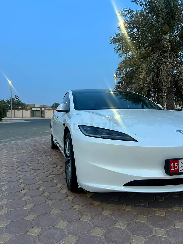 Tesla Model 3 Long Range63175258743171113