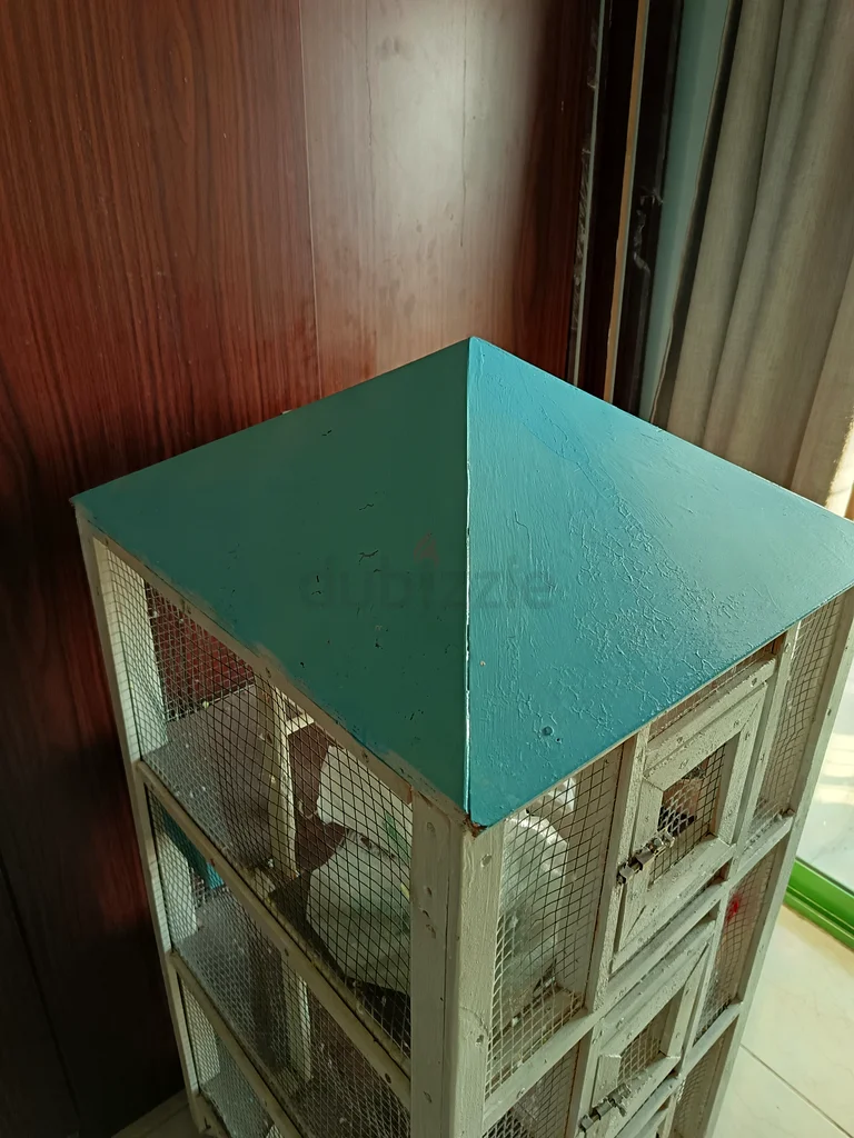 Bird Cage63233642462467111