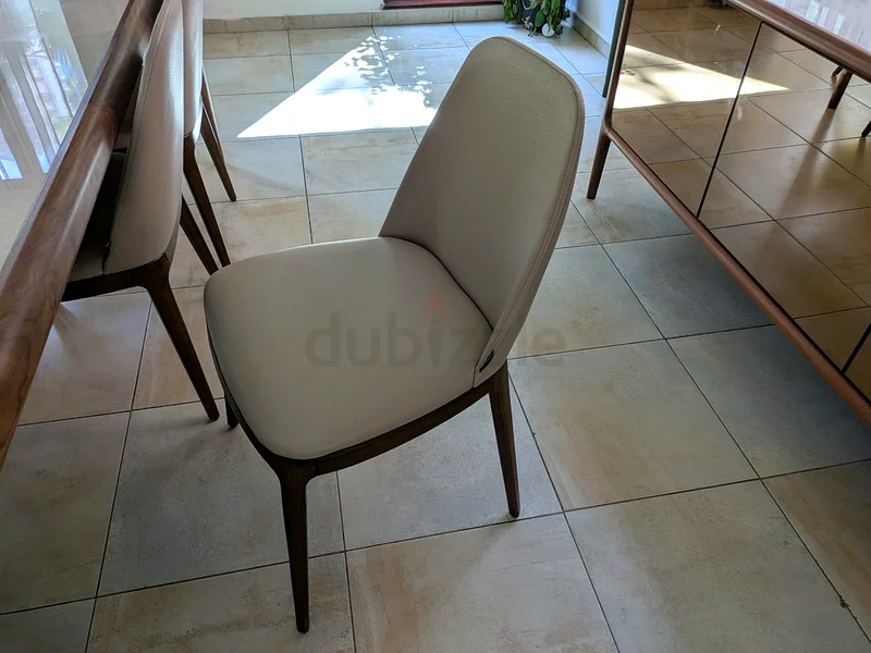 Ebarza brand dining table with 8 chairs63179388997251112