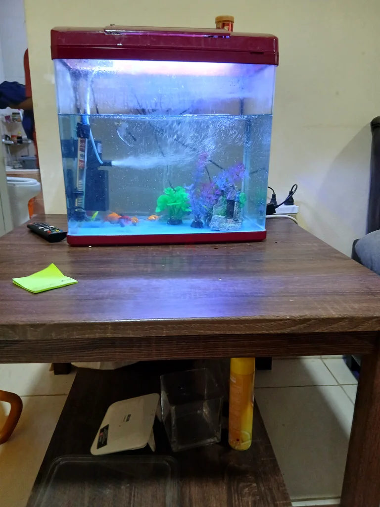 Vibrant Aquarium63437932704514112