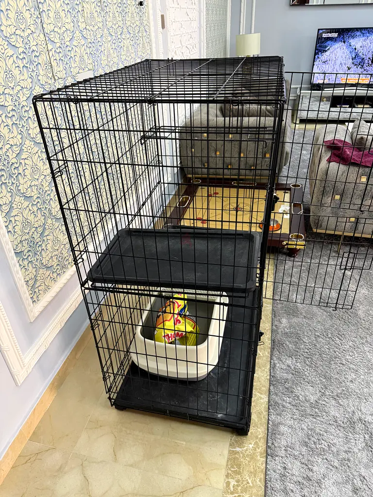 Cat cage with sand box63233130532097111