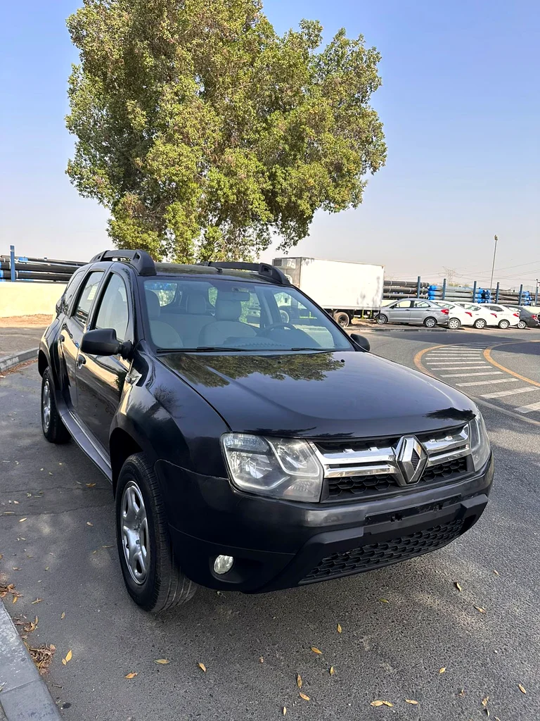2017(DUSTER) GCC63175257473666114