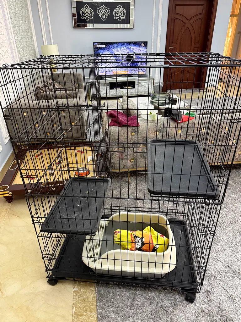 Cat cage with sand box63233130532097112