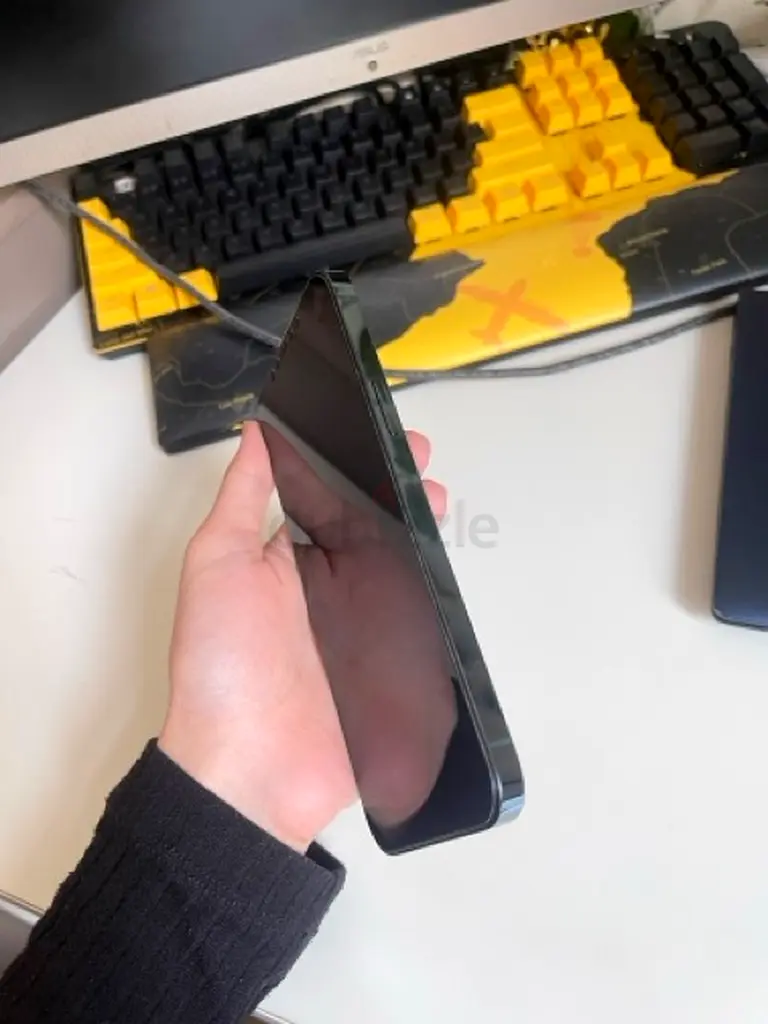 iPhone 12 Pro Max