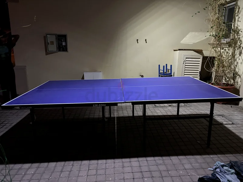 High-Quality foldable (2 Pieces) Table Tennis Table for Sale!63170406864643111