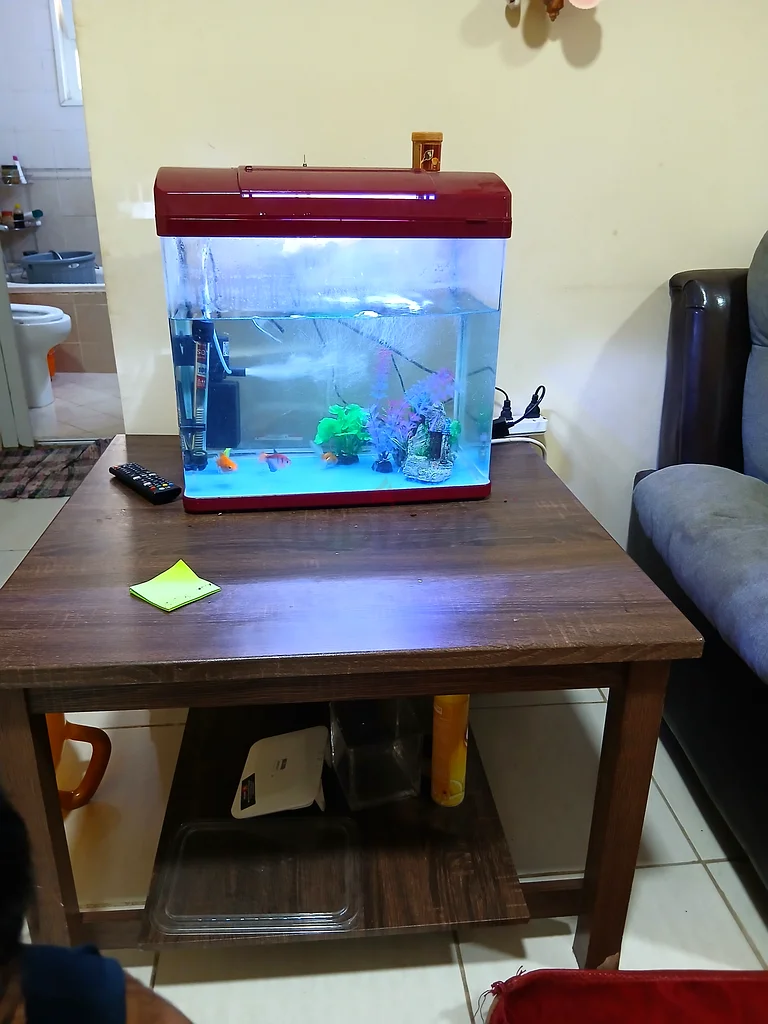 Vibrant Aquarium63437932704514111