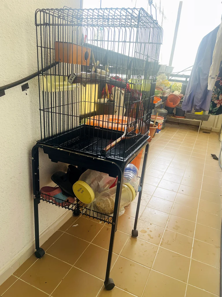 Bird cage with stand63233642435459112