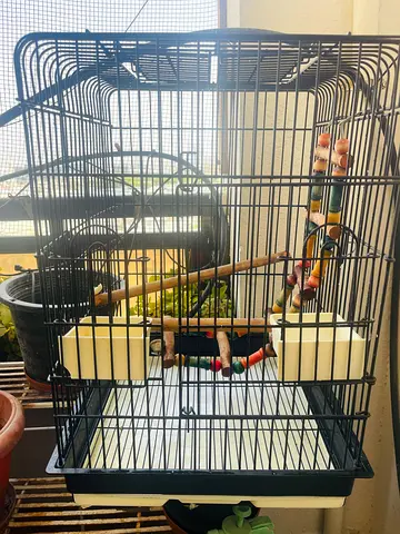 Bird cage with accessories