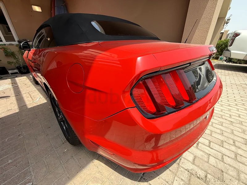 Ford Mustang in great condition63168972630018114
