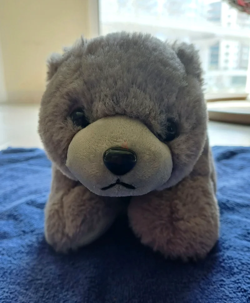 Stuffed Toy/Bear63205362161026110
