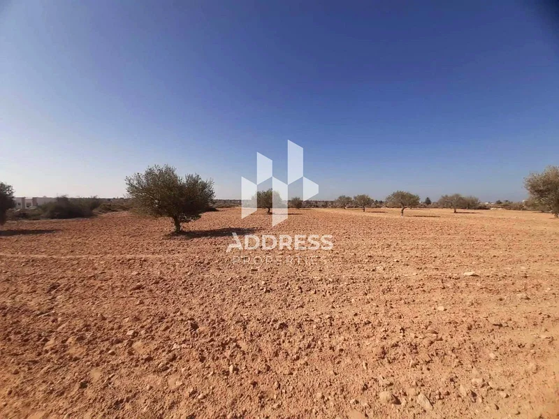 Residential Land in Al Blida Sharjah 440000 3-Year Plan63197616278403112