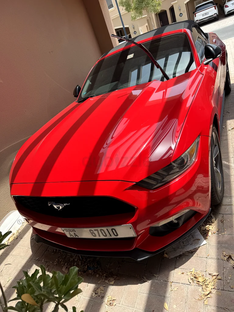 Ford Mustang in great condition631689726300181125