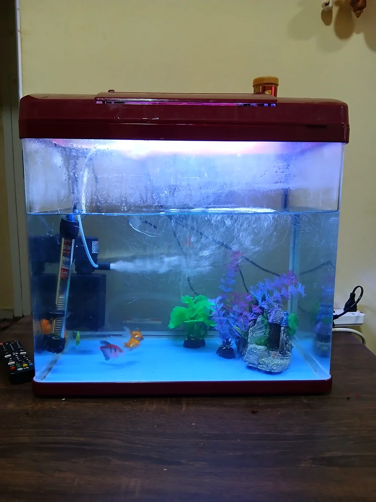 Vibrant Aquarium63437932704514117