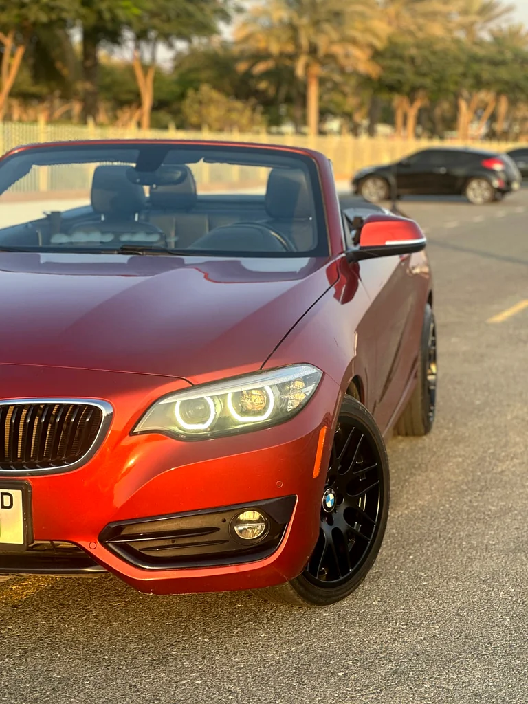 BMW 2-SERIES 230I   CONVERTIBLE 201863228782585219112