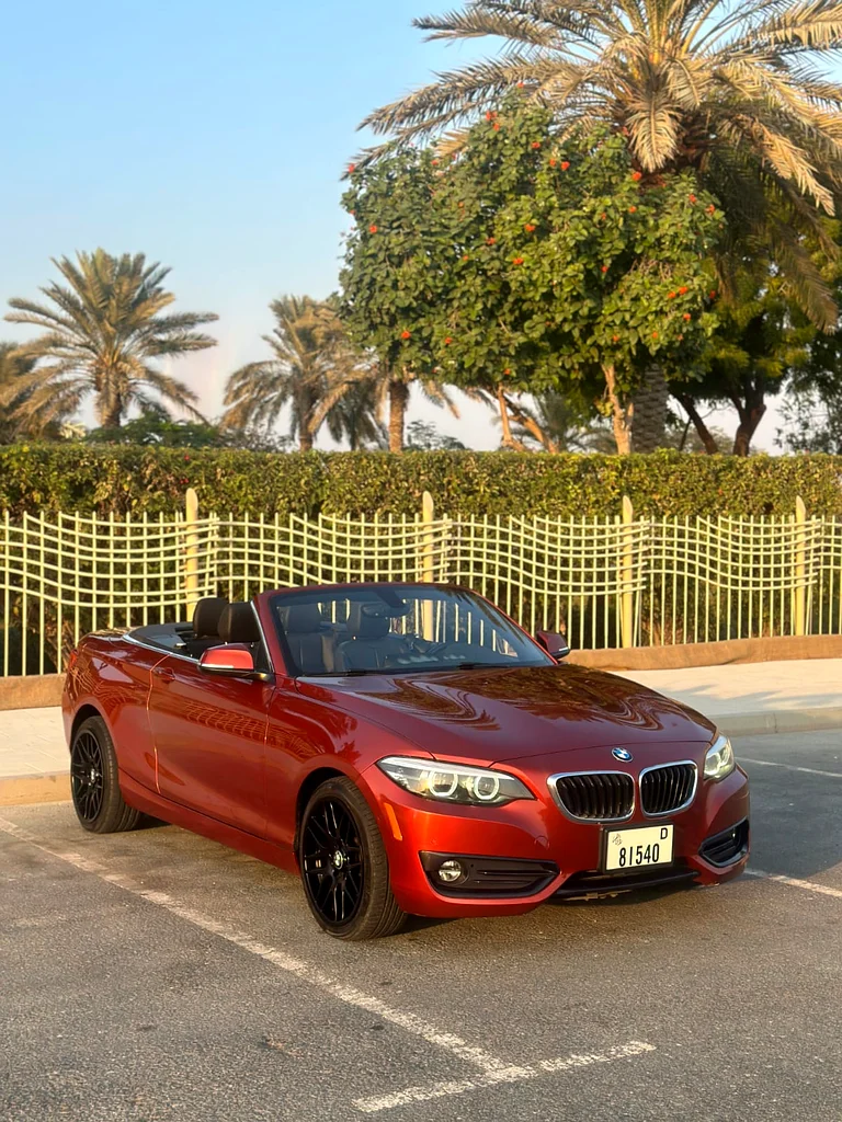 BMW 2-SERIES 230I   CONVERTIBLE 2018632287825852191116