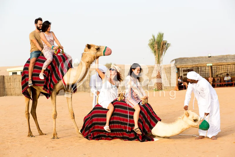 Dubai Hot Air Balloon with Camel, Horse  ATV Ride63225339129345114