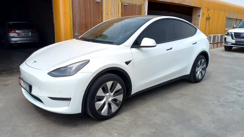 71355 Tesla Y 202263175259320449116